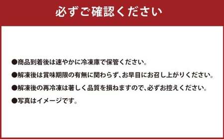 【桜屋】 上赤身馬刺し 300g （専用醤油付き 150ml×1本） 馬刺し 馬刺 馬肉 馬 上赤身 赤身 冷凍