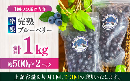 【全3回定期便】旬の美味しさそのまま！冷凍 完熟ブルーベリー 計1kg (約500g×2パック) 熊本県産冷凍ブルーベリー 山都町産冷凍ブルーベリー ブルーベリー フルーツ ブルーベリースムージー 果