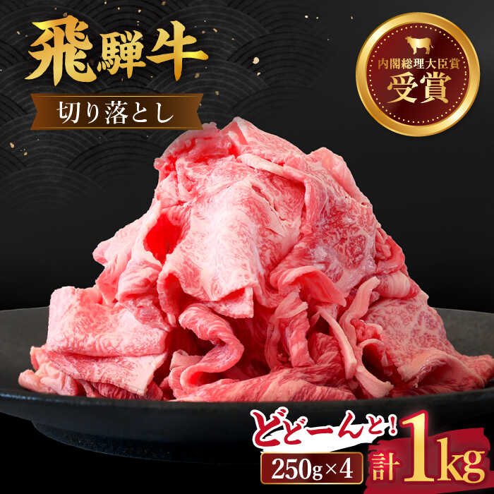 【ふるさと納税】 飛騨牛 切り落とし 1kg ( 250g × 4 ) 牛肉 国産 ブランド牛 和牛 多治見市/肉のひぐち [TDC013]