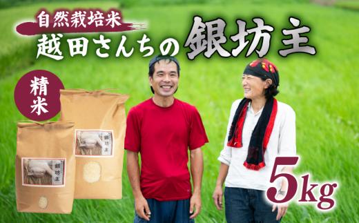 自然栽培米 越田さんちの銀坊主（精米）5kg 令和7年産