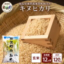 【ふるさと納税】【お米の定期便12回】那賀町のお米 キヌヒカリ (玄米) 10kg×12回 計120kg【徳島県 那賀町 相生 国産 玄米 キヌヒカリ 10kg 10キロ 120kg 120キロ 産地直送】YS-32