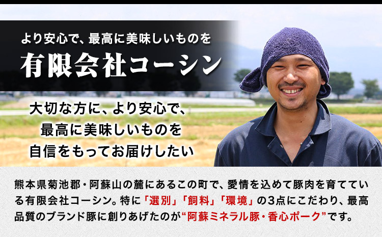 香心ポーク たっぷり肉肉セット 約2.8kg以上 有限会社コーシン《30日以内に出荷予定(土日祝除く)》 熊本 大津町 豚肉 豚 もも肉 モモ肉 ステーキ しゃぶしゃぶ すき焼き とんかつ 焼肉 送料