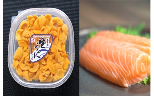 E-40032 エゾバフンウニ塩水パック150g×1P、お刺身サーモン300g～500g(1～3本)[11月下旬以降発送]