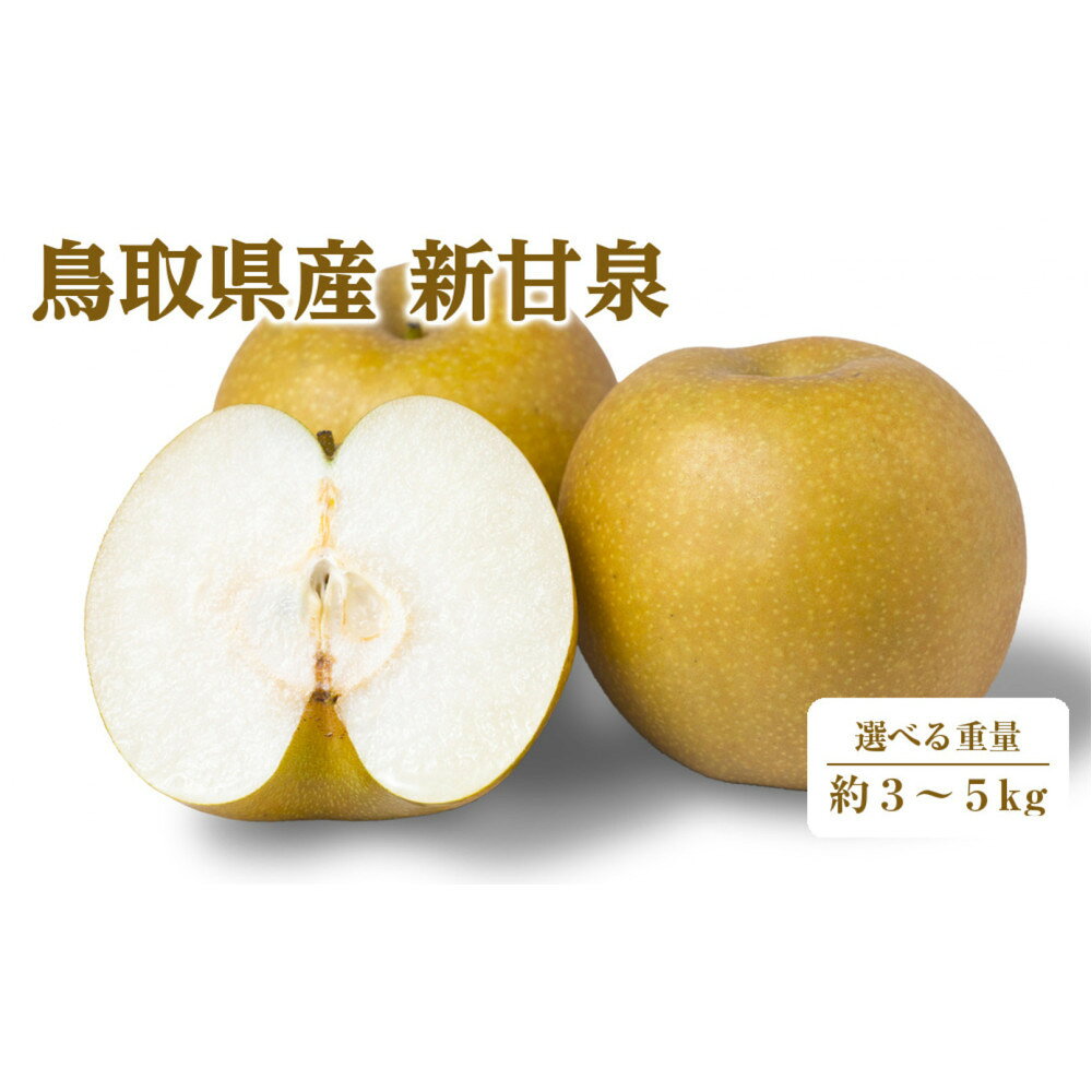 【ふるさと納税】＜数量限定＞＜2026年8月下旬以降順次発送予定＞＜選べる重量＞鳥取県産新甘泉(約3～5kg) 【鳥取県 境港市】 | 梨 なし ナシ 新甘泉 新甘泉梨 フルーツ 果物 国産フルーツ 鳥取県産 産地直送 大容量 新鮮 旬