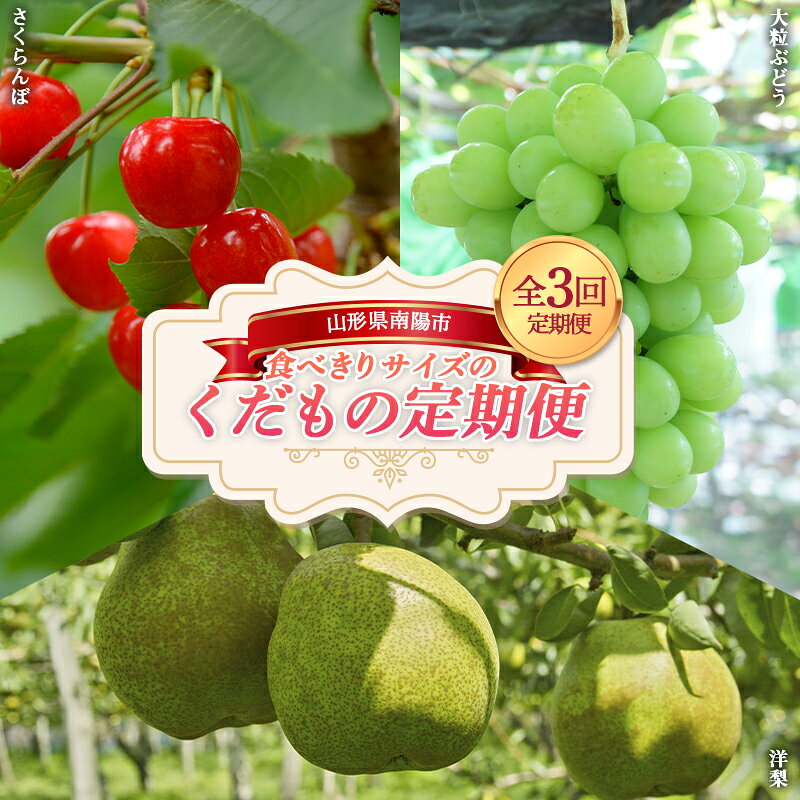 【ふるさと納税】 【令和9年産先行予約】 《定期便3回》 食べきりサイズの くだもの定期便 『南陽中央青果市場』 フルーツ 山形県 南陽市 [1745-R9]