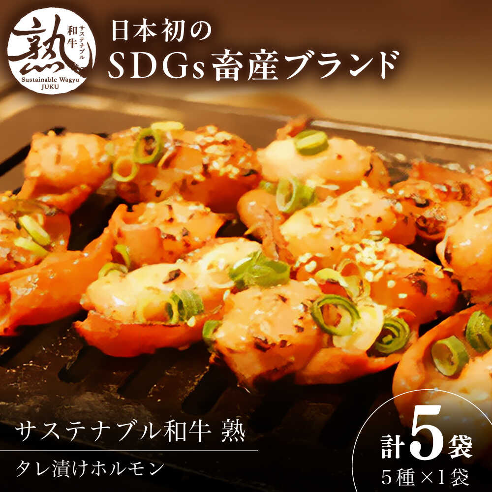 【ふるさと納税】 ホルモン サステナブル和牛 熟 ホルモン タレ漬けシリーズ5P（もつ・レバー・ハツ・センマイ・ミックス）| 牛肉 和牛 熟成 タレ漬け セット ホルモン 詰め合わせ 食べ比べ 焼肉 焼き肉 BBQ もつ レバー 人気 島根県雲南市/株式会社熟豊ファーム[AIAT002]