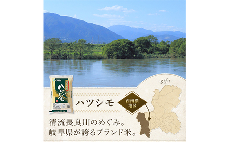 米 【R7年産】ハツシモ5kg　[ANHS001] 米