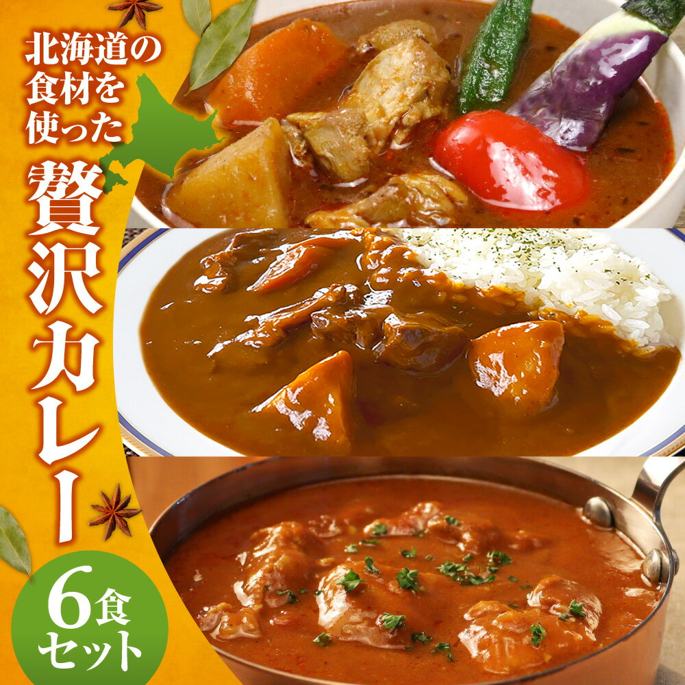 【ふるさと納税】 北海道産 食材 カレー 3種 セット 計6袋 スープカレー バターチキンカレー ビーフカレー 味比べ 食べ比べ 牛肉 鶏肉 お取り寄せ グルメ 本格 簡単調理 レンジ レンチン 常備食 防災 備蓄 非常食 詰め合わせ 常温 北海道 札幌市