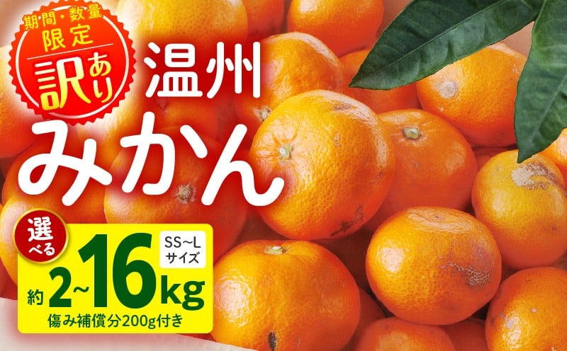 
                  《2025年～2026年発送》【選べる内容量】【数量・期間限定】《訳あり》温州みかん(傷み補償分200g付き)｜みかん 温州みかん ミカン 2kg 5kg 8kg 15kg 果物 柑橘 フルーツ スイーツ デザート 青果物 青果 柑橘類 訳あり品 訳あり 訳アリ 訳あり果物 酸味 甘い 糖度 アレンジ 人気 着色 黒点 規格外 傷 グルメ ストック 宮崎県 宮崎市 宮崎｜_M249-003-SKU
                