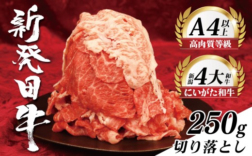 牛肉 切り落とし 250g 肉 和牛 霜降り ブランド牛 新発田牛 にいがた和牛 しゃぶしゃぶ 小分け 小間切れ 新潟県 新発田市 新潟 新発田 近江牛 神戸牛 松阪牛 米沢牛 三大和牛 に負けない えのもとミート enomoto020