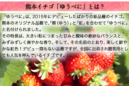 玉東町の自然に育まれたイチゴをジャムに！【ハニーローザ】【イチゴ(ゆうべに)】コンフィチュールセット《60日以内に出荷予定(土日祝除く)》熊本県玉名郡玉東町 ぷらっとぎょくとう 