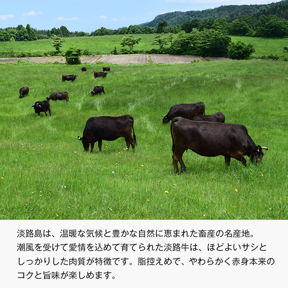【定期便3ヶ月】淡路牛 赤身三種食べ比べ（すき焼き・ステーキ・焼肉）【3D急速冷凍】_イメージ2