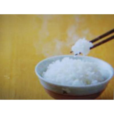 ふるさと納税 能美市 自家栽培コシヒカリ(姫九谷)5kg　　精米 |  | 01