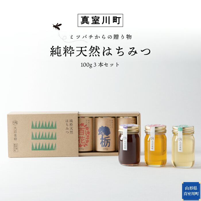 【ふるさと納税】‥ミツバチからの贈り物‥　純粋天然はちみつ(100g)3本セット