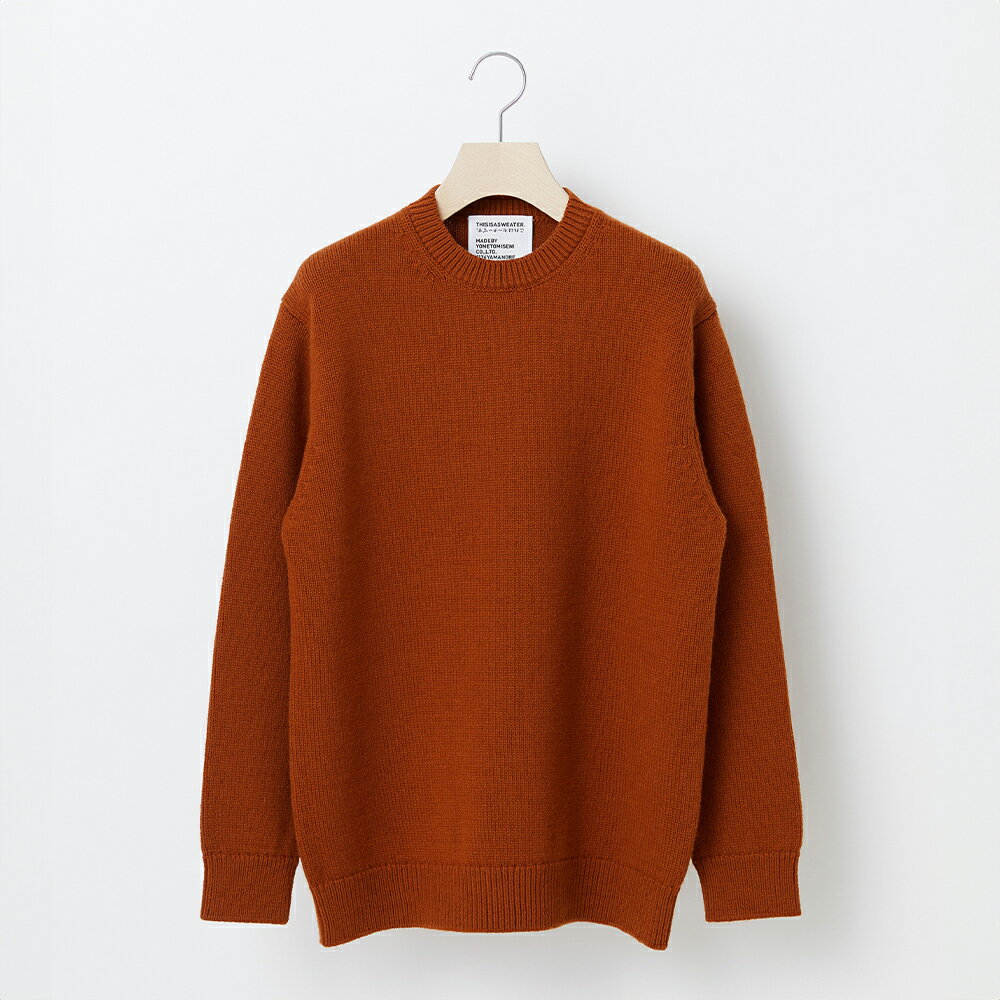 【ふるさと納税】 ≪先行予約≫【THISISASWEATER.】A1 : A SWEATER IS ORDINARY BROWN ブラウン カシミヤセーター 服 洋服 ユニセックス メンズ レディース ブランド 山形県 山辺町 送料無料 yt-soxxb ※沖縄・離島への配送不可