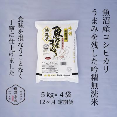 ふるさと納税 南魚沼市 【毎月定期便】【吟精無洗米】南魚沼産コシヒカリ 精米 20kg(5kg×4)全12回