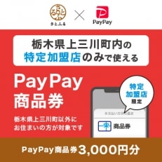 栃木県上三川町　PayPay商品券(3,000円分)※地域内の一部の加盟店のみで利用可