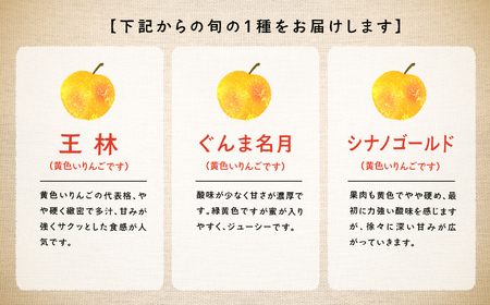 《2025年11月中旬以降発送》羽山りんご 品種おまかせ(中早生)5kg りんご リンゴ 林檎 国産りんご フルーツ 果物 人気 ランキング おすすめ ギフト 故郷 ふるさと 納税 福島 ふくしま 二