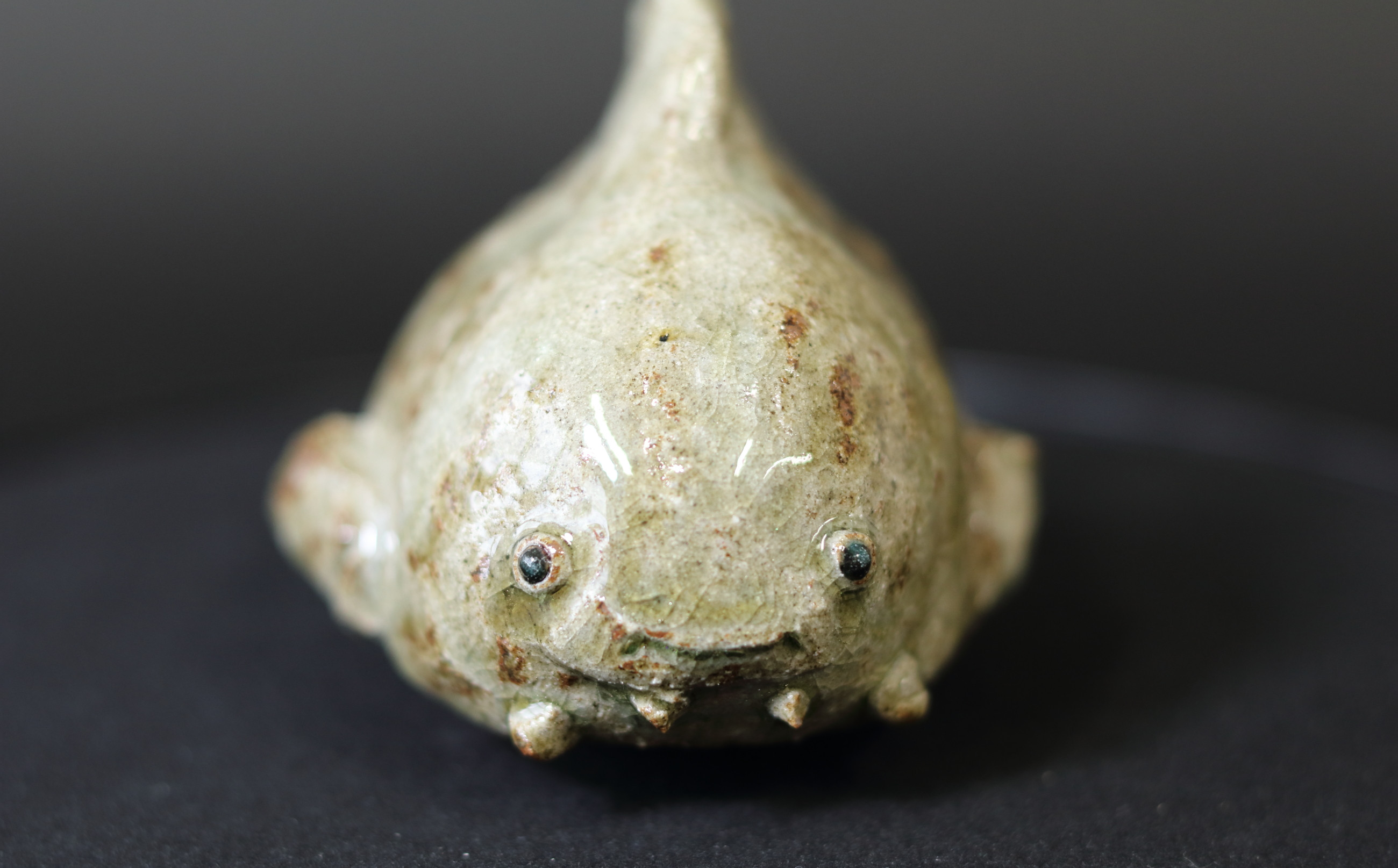 ダンゴウオ