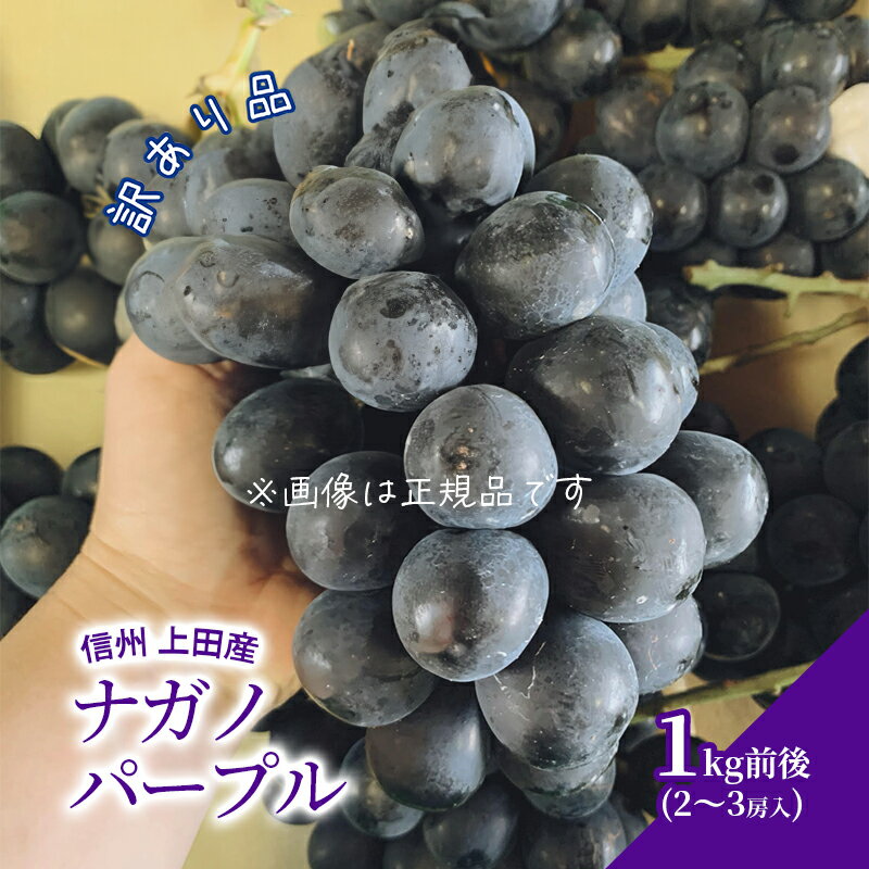 【ふるさと納税】訳あり ナガノパープル 1kg前後 2～3房 ぶどう 葡萄 ブドウ 長野パープル 1kg 果物 くだもの フルーツ デザート 大粒 旬の果物 旬のフルーツ 訳アリ 長野県 長野　お届け：2025年8月下旬～9月中旬