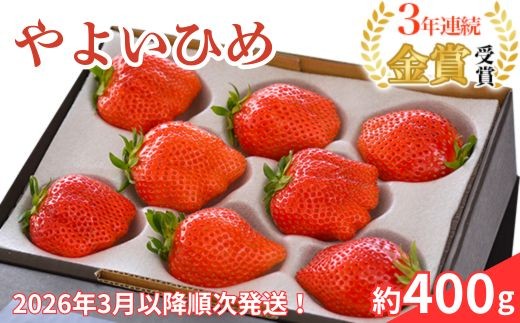 
            群馬県やよいひめ（いちご）約400g【３年連続金賞受賞！】※2026年3月～5月 順次発送予定
          