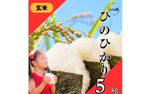 令和7年度産 ヒノヒカリ 玄米 5kg ブランド米 米 玄米 国産 食味 ご飯 もちもち 特A評価 ひのひかり こめ お米 okome kome おむすび おにぎり弁当 美味しい 朝食 取り寄せ 魚 肉 の おかず にあう 福岡県 柳川市 宝物産