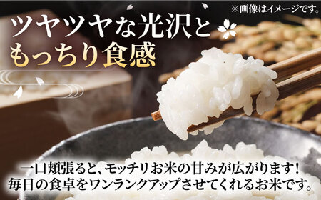 【新米先行予約】【全3回定期便】福岡県産米 夢つくし 20kg (10kg×2袋) 【2024年9月以降順次発送】 《豊前市》【湯越農園】米 精米 白米 [VBC014]