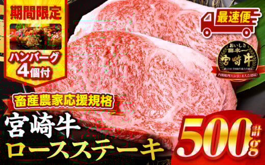 【最速便】【期間・数量限定】畜産農家応援！宮崎牛ロースステーキ250g×2・国産牛ハンバーグ100g×4個_M132-014-B1-2W