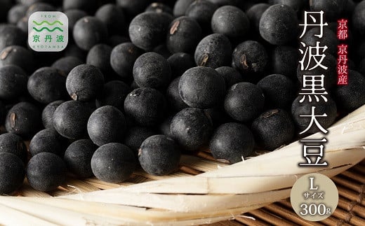 【 年内発送 】 丹波黒大豆 Lサイズ 300g お正月 おせち用 京都 京丹波町産 丹波黒豆 新豆 国産 お取り寄せ ご当地グルメ 生産者限定 令和7年産 L 生豆 大粒 ※北海道・沖縄その他離島への配送不可　[007KK001L]