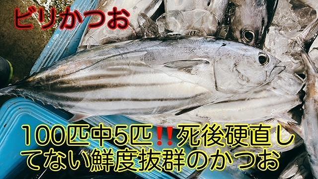 冷凍もちもち食感ビリかつお刺身250g