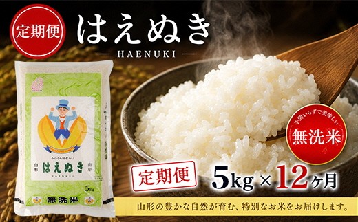 
                  【12回定期便】無洗米 はえぬき　5kg×12回(計60kg) TO SP0016
                