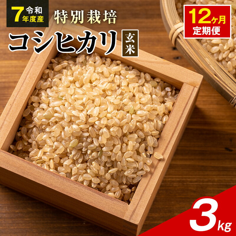 【ふるさと納税】令和7年産 特別栽培米 コシヒカリ 玄米 3kg 静岡県産 色彩選別済 食に意識高い方へオススメ 12ヶ月定期便