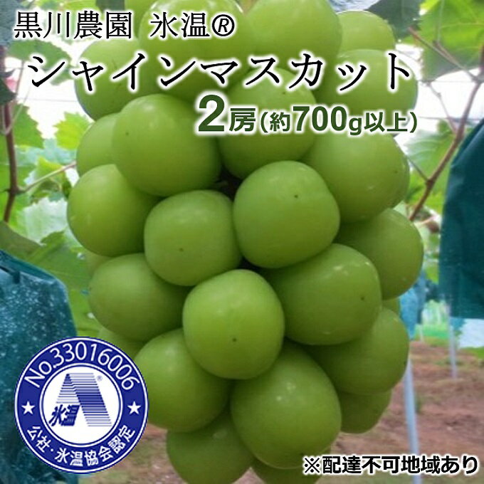 【ふるさと納税】早期受付 ぶどう 氷温(登録商標) シャインマスカット 2房（1房700g以上） マスカット ブドウ 葡萄 岡山県産 国産 フルーツ 果物 ギフト 黒川農園 果物類 　お届け：2025年11月上旬～2026年1月中旬