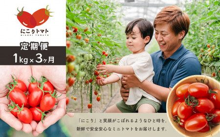 【 定期便 】 にこりトマト1kg×3ヶ月 ｜ 野菜 やさい ミニトマト トマト とまと アイコ 定期便 1kg 3回 熊本県 玉名市			