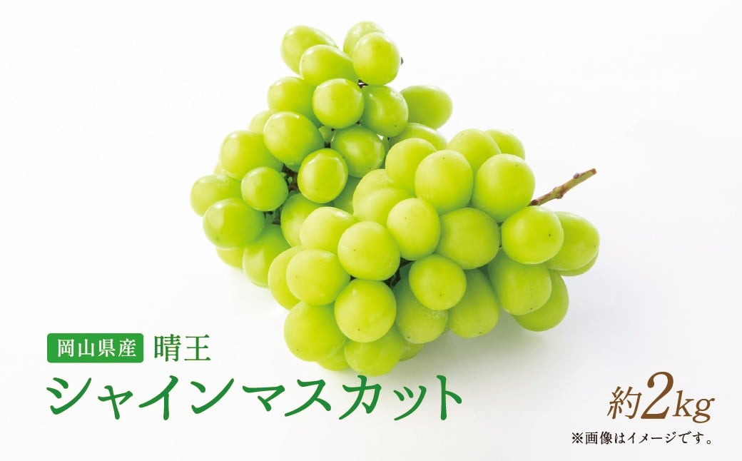 【岡山県産】 シャインマスカット約2.0kg  （3～4房）【2026年9月上旬〜11月下旬発送予定】 ／ ぶどう ブドウ 葡萄 マスカット 種なし 種無し フルーツ 果物 くだもの 果実