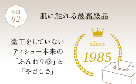 値下げしました！【ボックスティッシュ】スコッティカシミヤエンボス 10箱 FCAS007