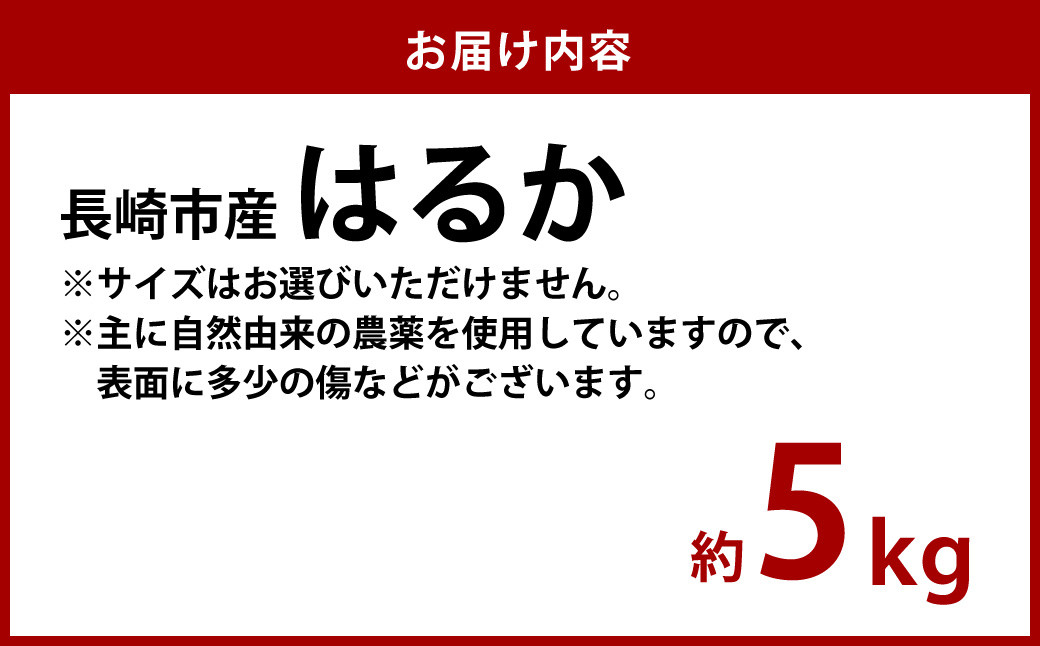 はるか 約5kg 柑橘 かんきつ みかん 松上果樹園