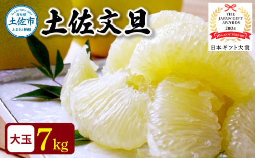 【日本ギフト大賞2024受賞】先行予約 園主こだわりの土佐文旦 7キロ（12 - 17玉） 2026年1月下旬より順次発送 やの一果彩