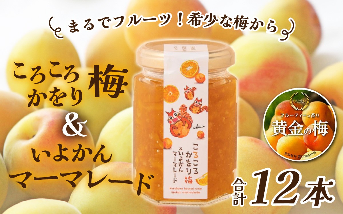 
            まるでフルーツ！希少な梅から「ころころかをり梅＆いよかんマーマレード」12本 [D-178005] / 梅 うめ いよかん マーマレード 加工品 調味料 ジャム 季節ジャム パン ジャムティー ヨーグルト 料理 手造り 詰合せ お取り寄せ 送料無料
          