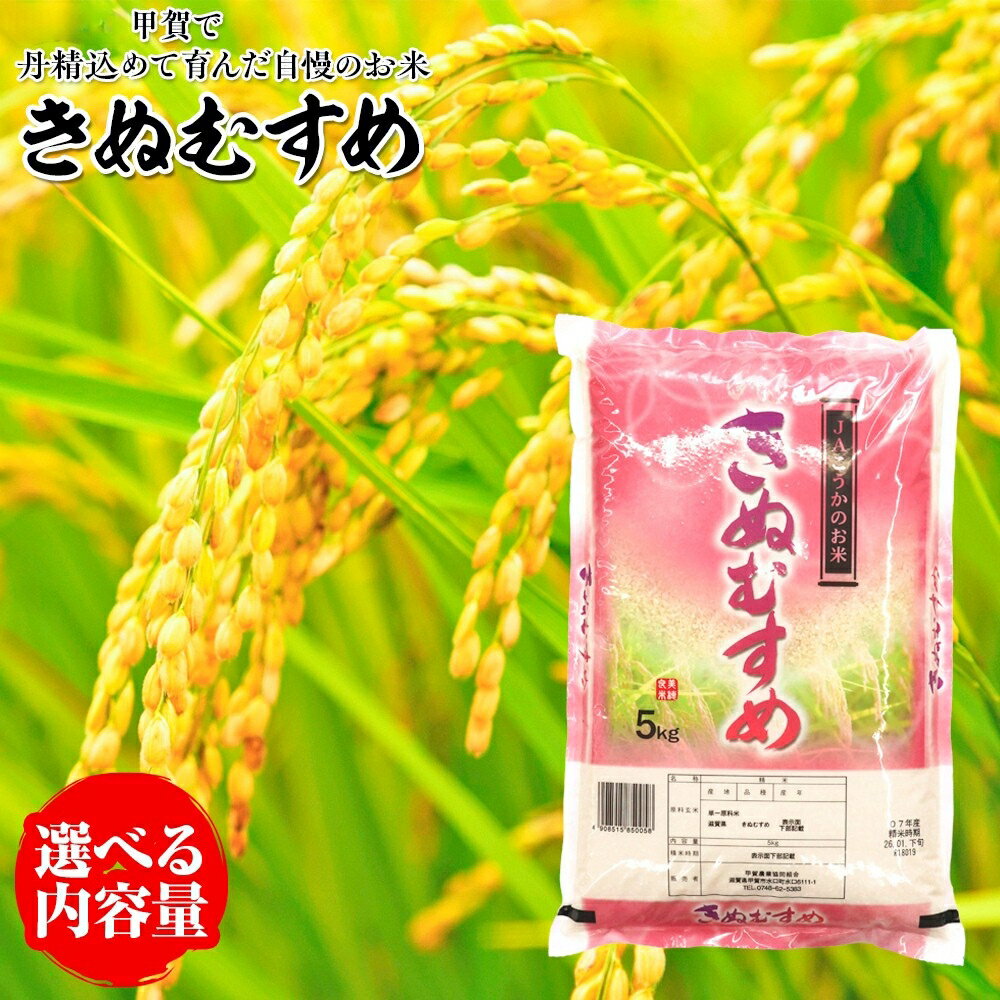 【ふるさと納税】＼選べる内容量／きぬむすめ 甲賀で丹精込めて育んだ自慢のお米 産地直送 キヌムスメ 米