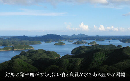対馬もみじぼたんソーセージ定期便 ≪対馬市≫【一般社団法人 daidai】 ジビエ 冷凍配送 定期便 鹿肉 猪肉 贈り物 プレゼント[WBH052]