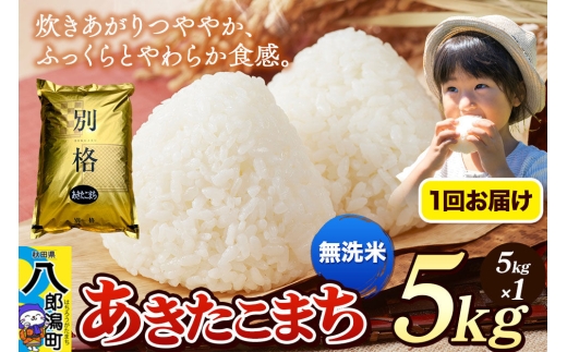 《令和8年産 新米》米 あきたこまち 5kg【無洗米】秋田県産 [新米 米 コメ 無洗米 あきたこまち おいしい 美味しい 安全 自然の恵み]