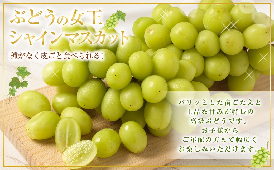【先行予約】 朝採れ シャインマスカット （種なし） 1.0kg（2房） お試し用 朝採れ BKシードレス付き（100g程度）