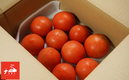 北海道 南幌町産 ぜいたくトマト 約1kg（10玉程度） 朝採れ 新鮮 濃厚トマト ナリモノファーム 野菜 産地直送 NP1-506