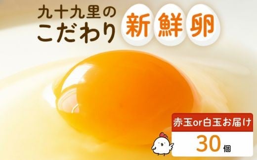 《訳あり》九十九里ファームこだわりたまご 30個～あおい海・みどりの里～（赤玉or白玉） ／ たまご 卵 玉子 タマゴ 赤玉 白玉 30個 卵かけご飯 新鮮 旨み 甘み 贈答用 贈答 ギフト 贈り物 訳あり 訳アリ 千葉県 匝瑳市 送料無料
