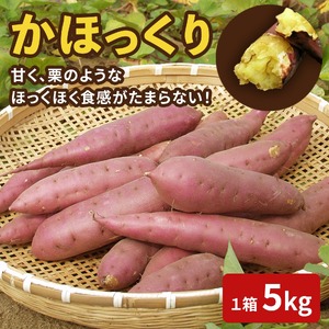【先行予約】かほっくり 5kg （1箱）  |  さつまいも さつまいも