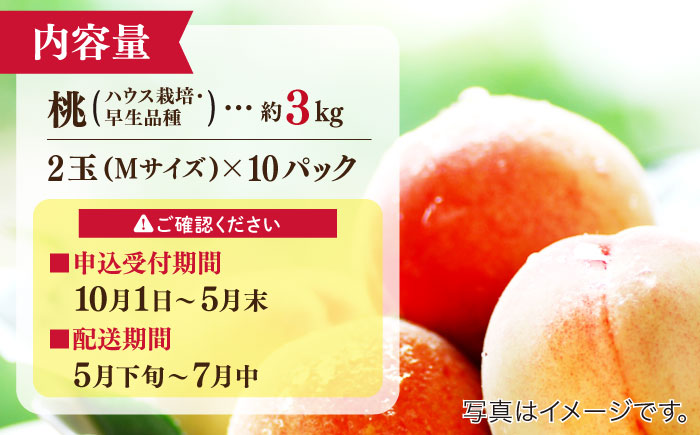 【2025年5月下旬〜順次発送】【南島原 の特別栽培】 小玉ハウス 桃（Mサイズ：10パック） / 桃 もも モモ ピーチ 3kg デザート 旬 フルーツ 柔らかい 果物 / 南島原市 / ふくはちフ
