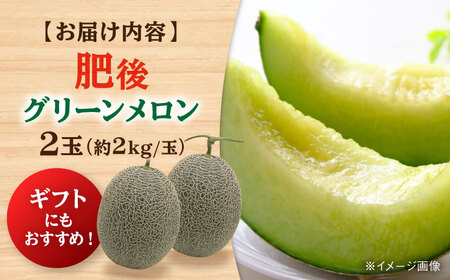数量限定 肥後グリーメロン2玉計約4kg メロンめろん AYAC045