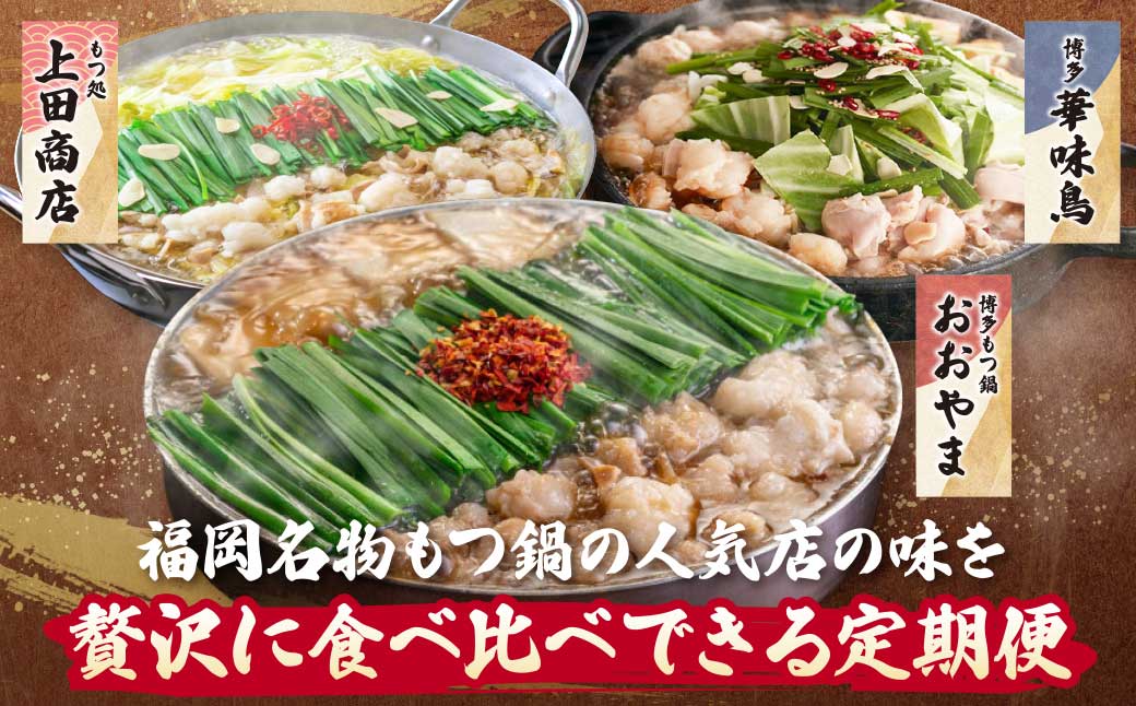 博多名物もつ鍋バラエティ定期便【隔月定期便(年3回発送)】