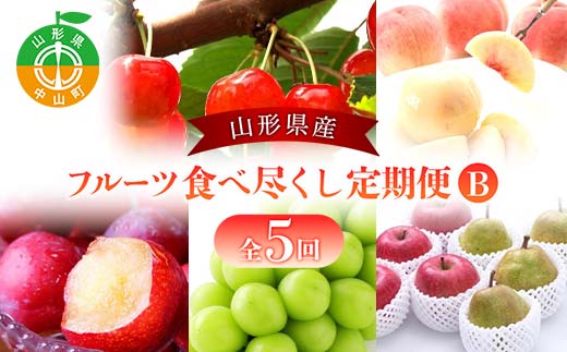 2026年度発送【定期便 5回】山形県産 フルーツ食べ尽くし定期便B くだもの フルーツ さくらんぼ 佐藤錦 桃 もも すもも 秋姫 ぶどう シャインマスカット ラ・フランス ラフランス 洋梨 梨 りんご サンふじ 山形県 中山町 F4A-0420